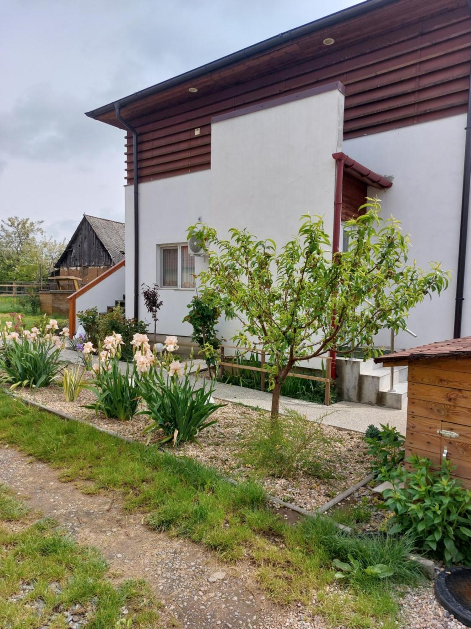 Vila Onix Sacueni Luaran gambar
